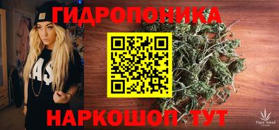 дмт Малгобек