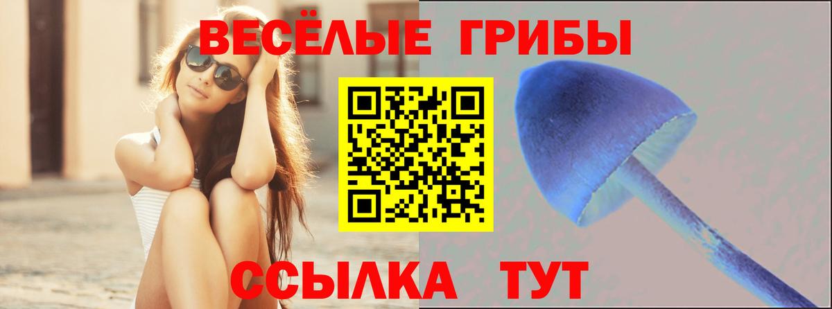 Галлюциногенные грибы MAGIC MUSHROOMS  где купить   Шарыпово  Вход с VPN 